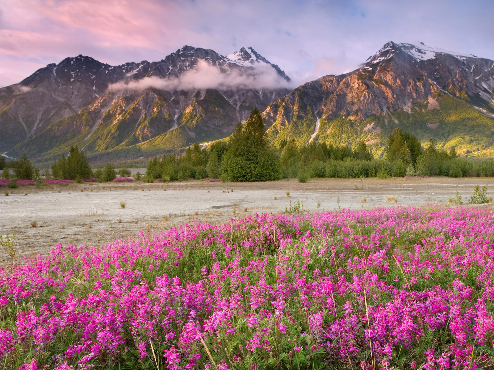 Twilight at the Confluence, Alsek Tatshenshini Wilderness, B.C.