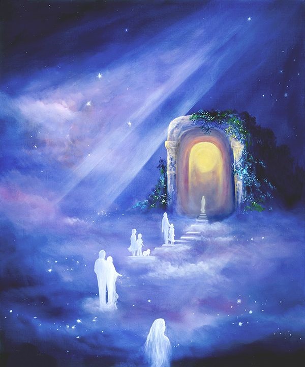 Journey With Spirits...