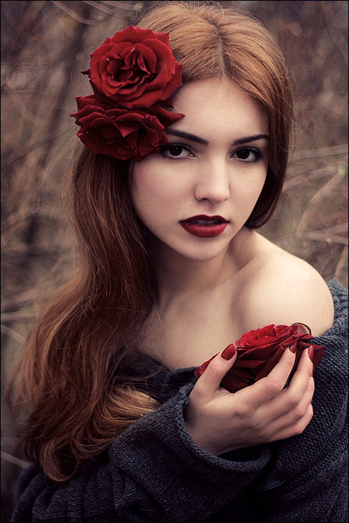 The Silver Desert...