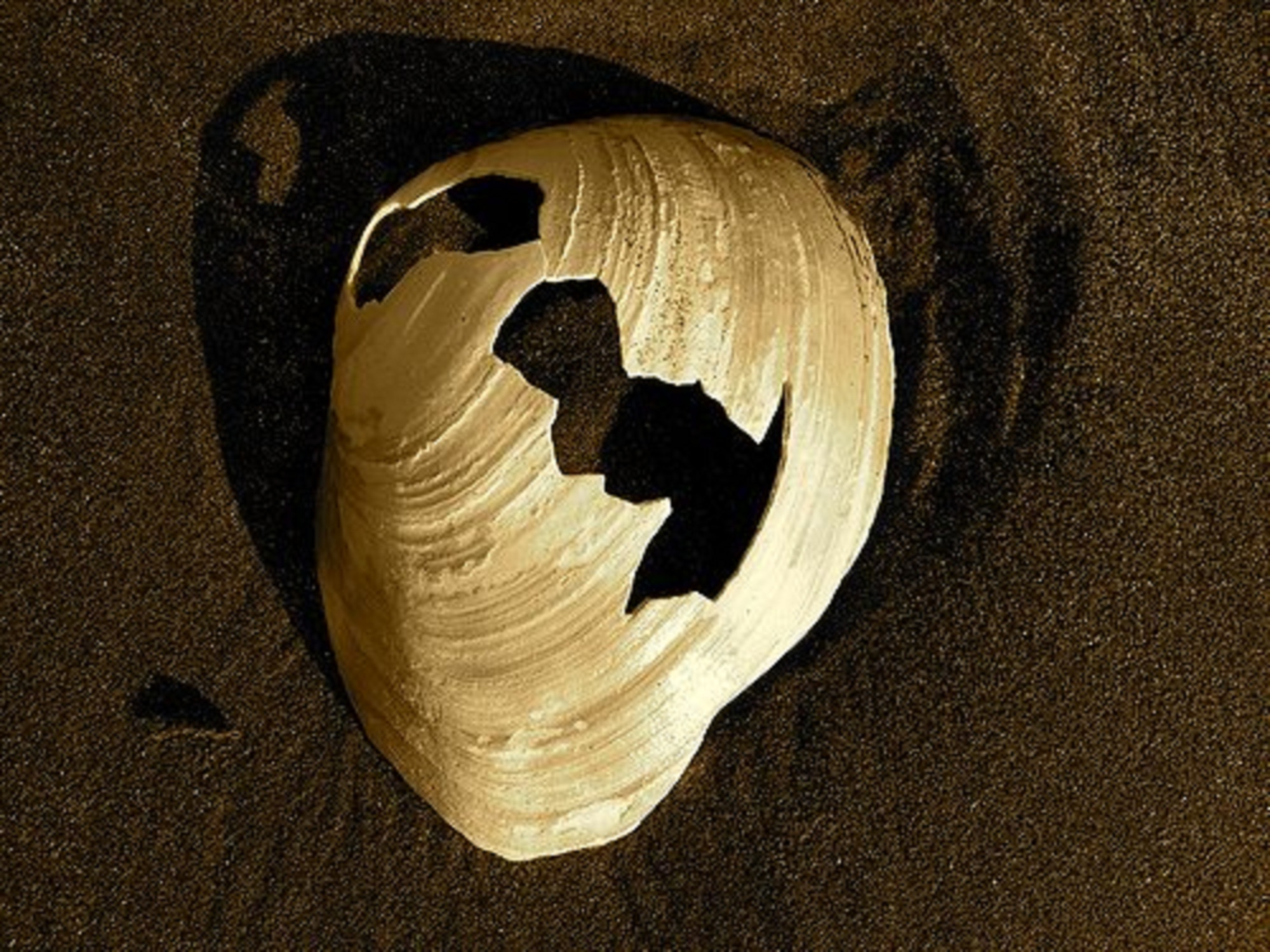 Spit By The Ocean...