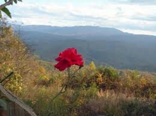 Unfinished Stories That Could Last...